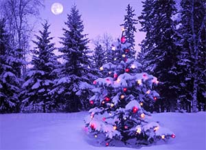 Новый Год На Базе Отдыха Красноярск Новый Год На Базе Отдыха Красноярск